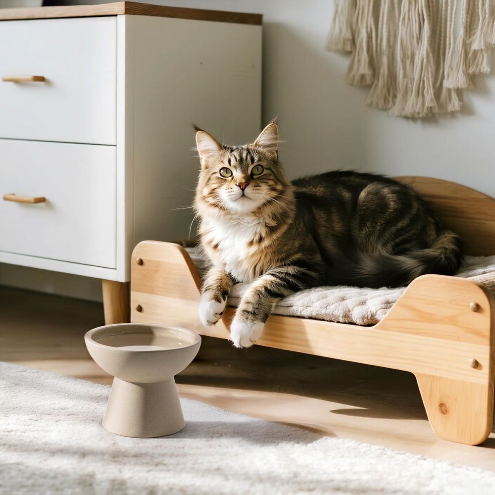 CEEFU modern ceramic cat bowl on dining table highlighting durable, lead-free design.