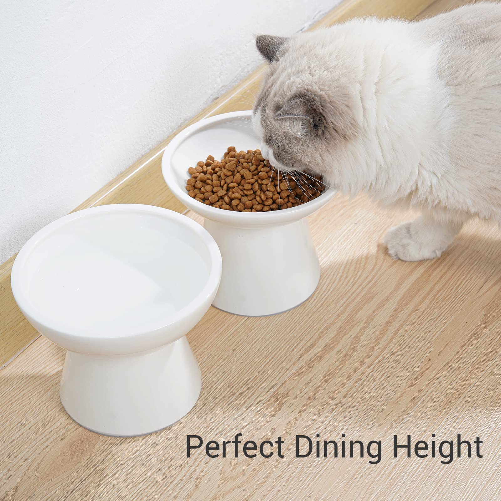 CEEFU modern ceramic elevated cat bowl complements home decor