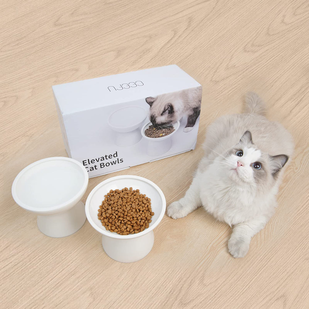 CEEFU water bowl deeper design supports steady hydration during drinks.