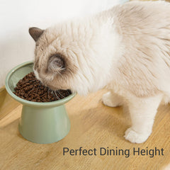 CEEFU whisker-friendly design side angle emphasizes elevated feeding