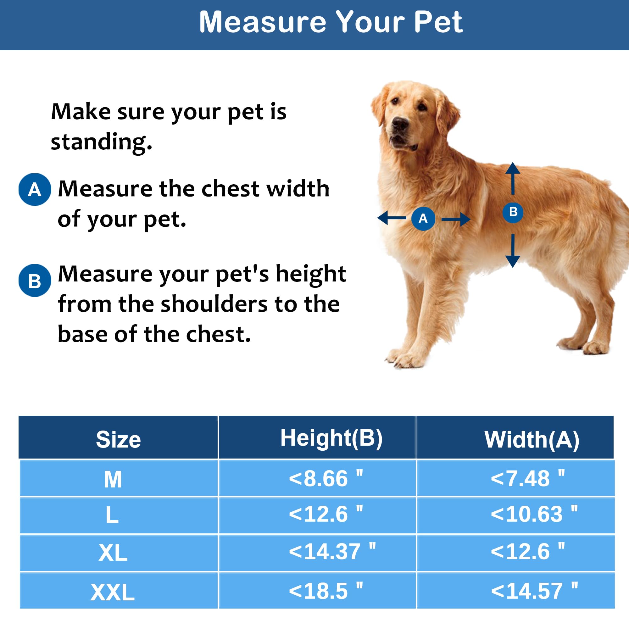CEESC dog door installation easy guidance for quick setup on doors