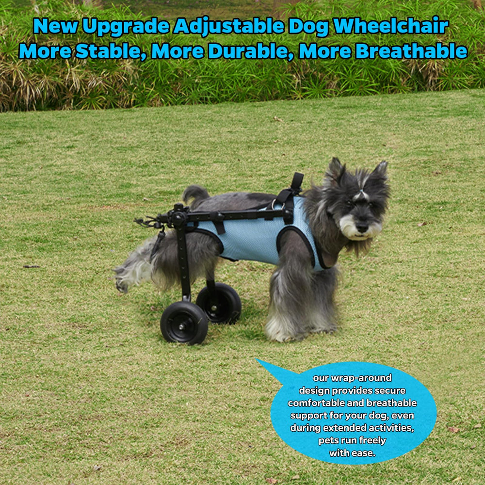Celestaura cat and dog wheelchair stability supports hind-limb mobility in small pets