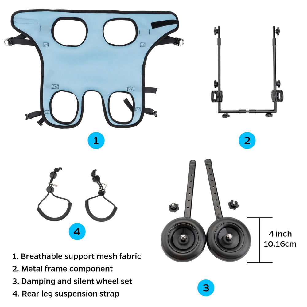 Celestaura cat wheelchair mobility support for hind legs