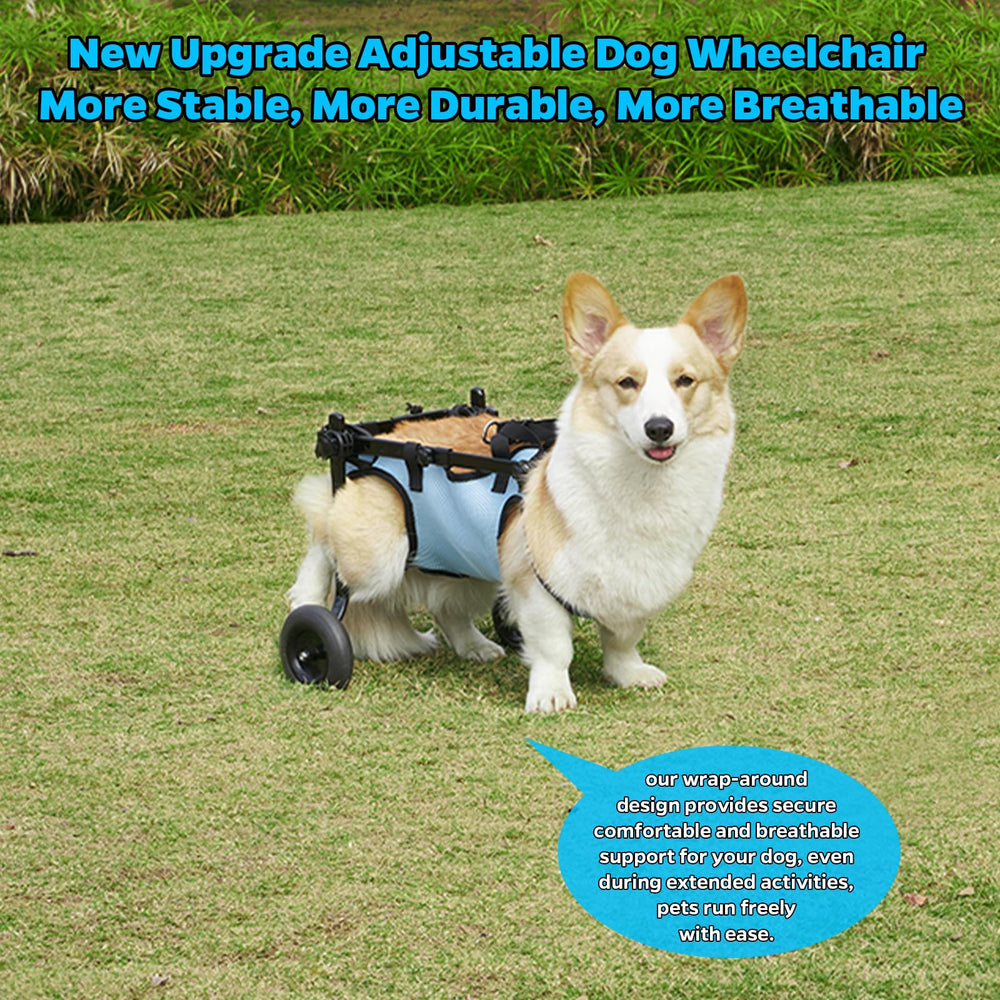 Celestaura dog wheelchair easy installation with clear guidance