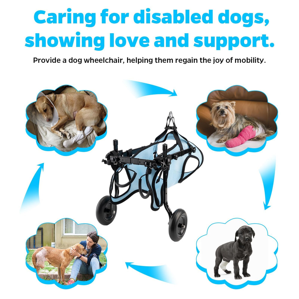 Celestaura dog wheelchair lightweight design reduces caregiver effort during walks