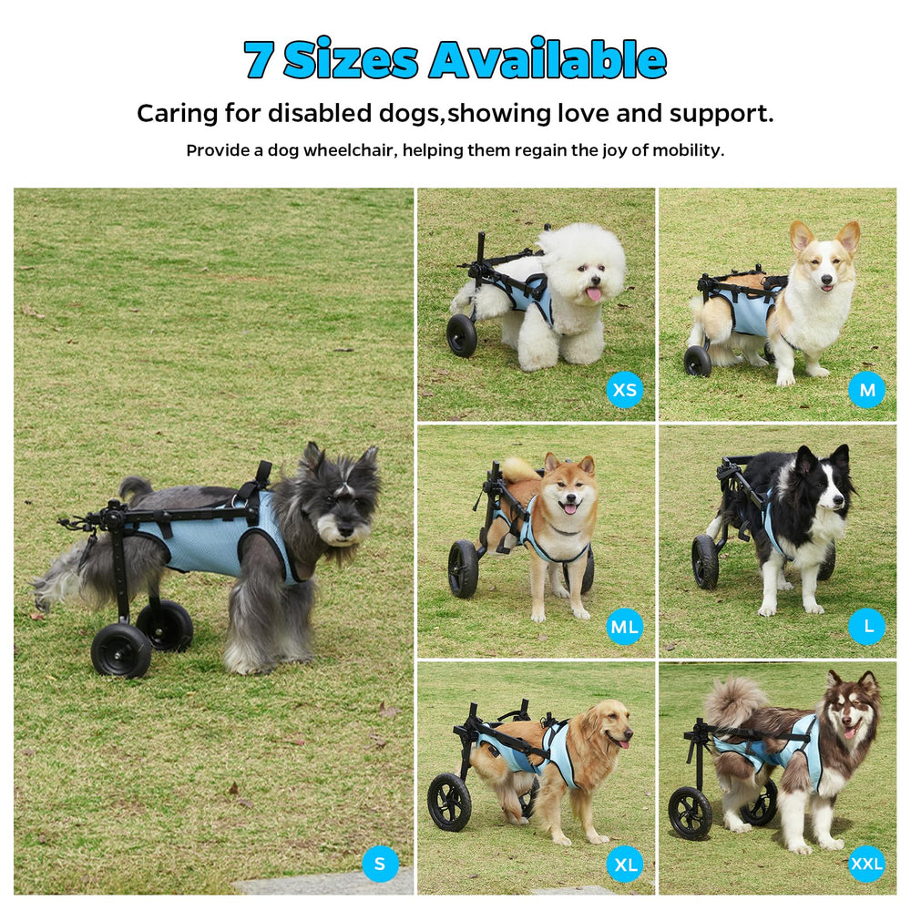 Celestaura dog wheelchair secure leash clasp improves outdoor control and safety