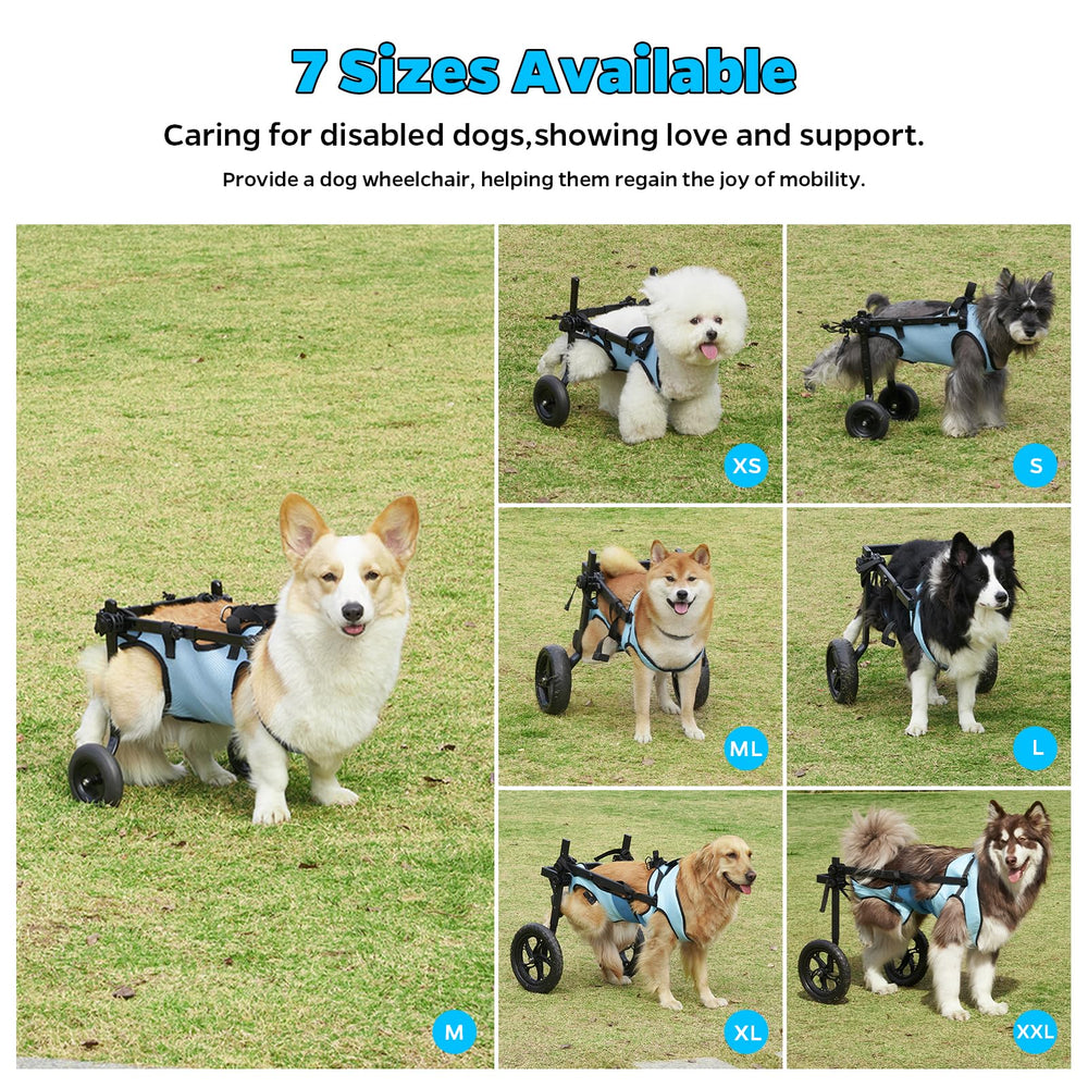 Celestaura dog wheelchair secure leash clip for control