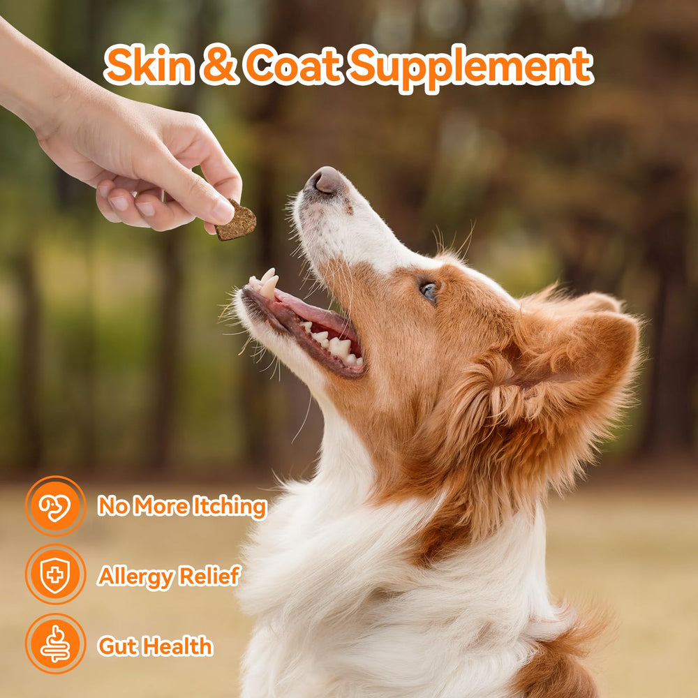 CeliAeh dog skin-relief chews focus on itch relief and skin support.