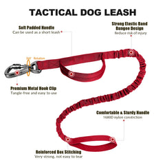 Celifelight bungee leash two-handles offers quick control and reduced jerk during busy walks.