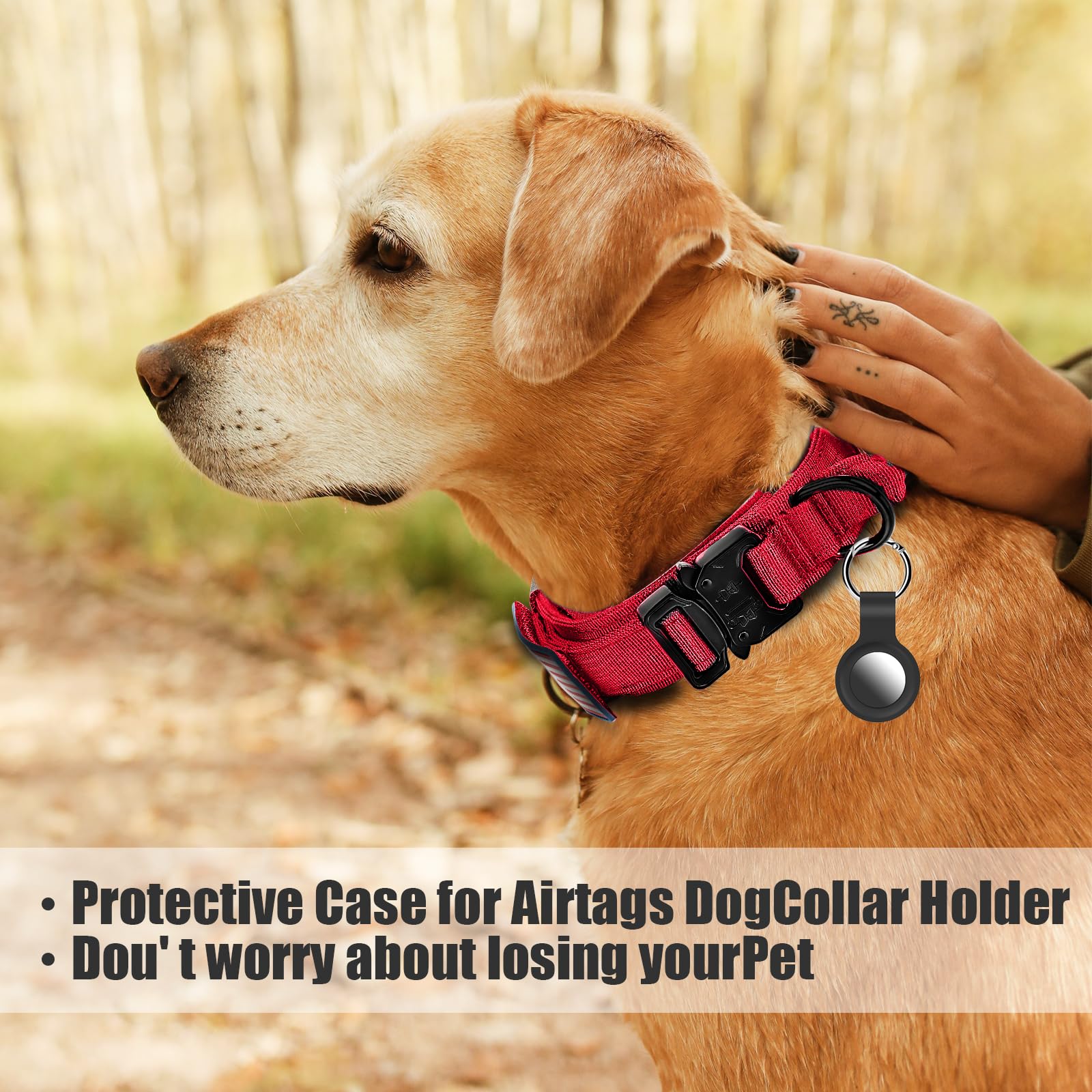 Celifelight dog wearing red USA flag collar demonstrates visibility and pride on trails.