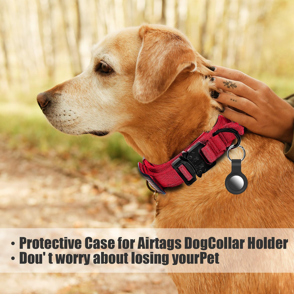 Celifelight dog wearing red USA flag collar demonstrates visibility and pride on trails.