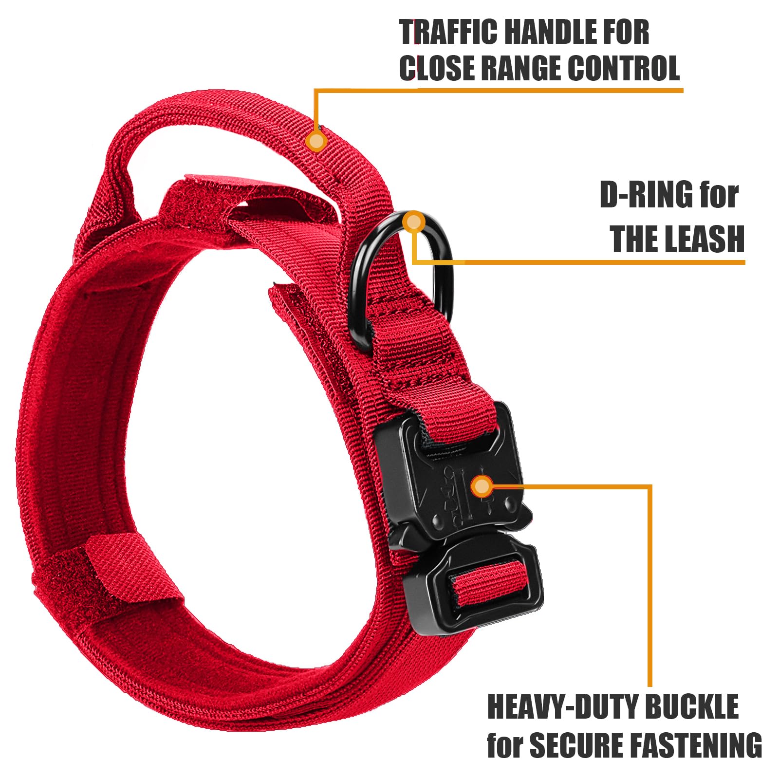 Celifelight tactical collar velcro adjustment demonstrates easy, snug fit for growing dogs.
