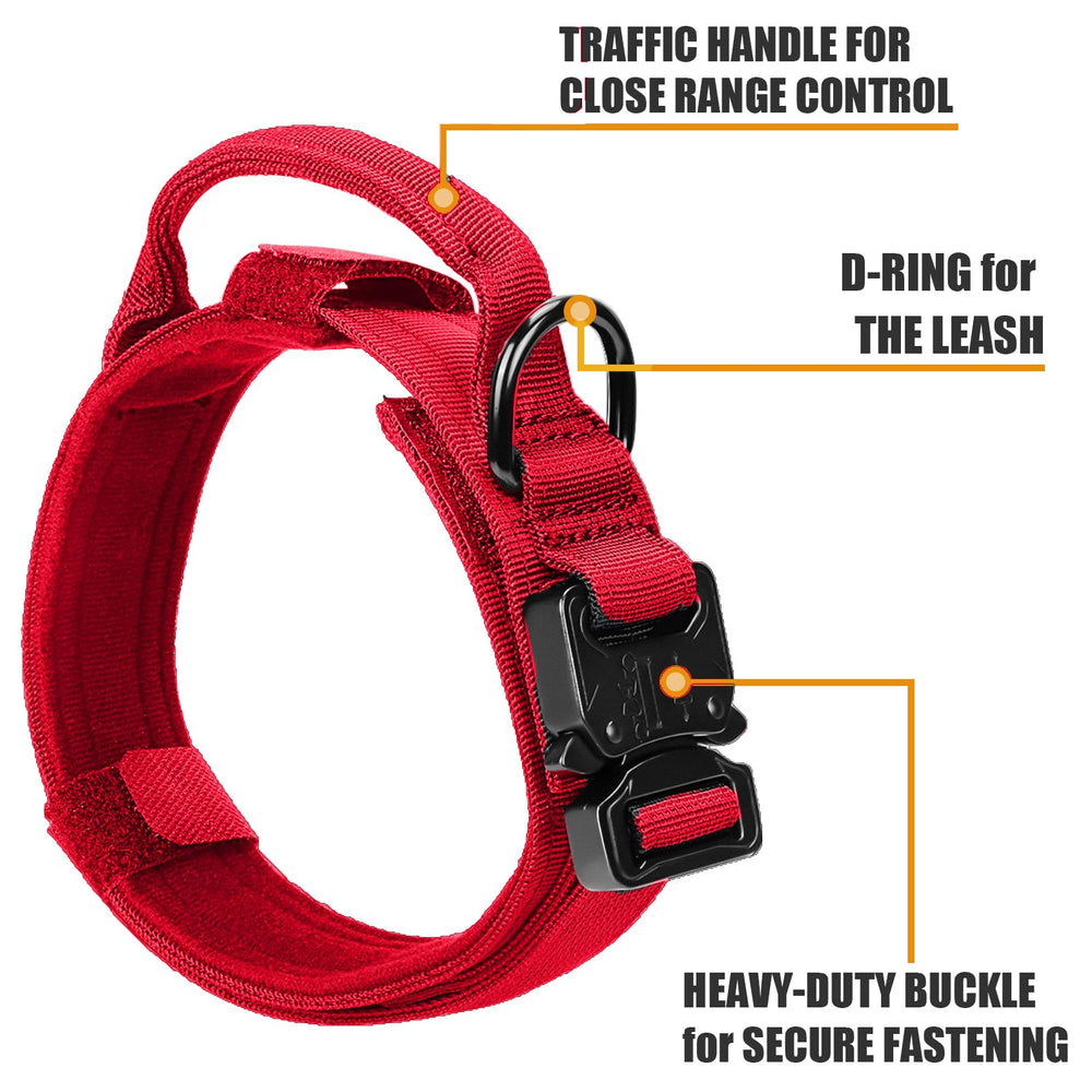 Celifelight tactical collar velcro adjustment demonstrates easy, snug fit for growing dogs.