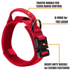 Celifelight tactical collar velcro adjustment demonstrates easy, snug fit for growing dogs.