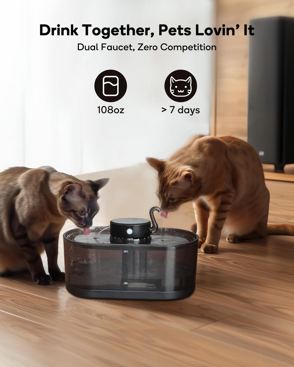 CENGCEN cat fountain dual-filter system extends maintenance intervals