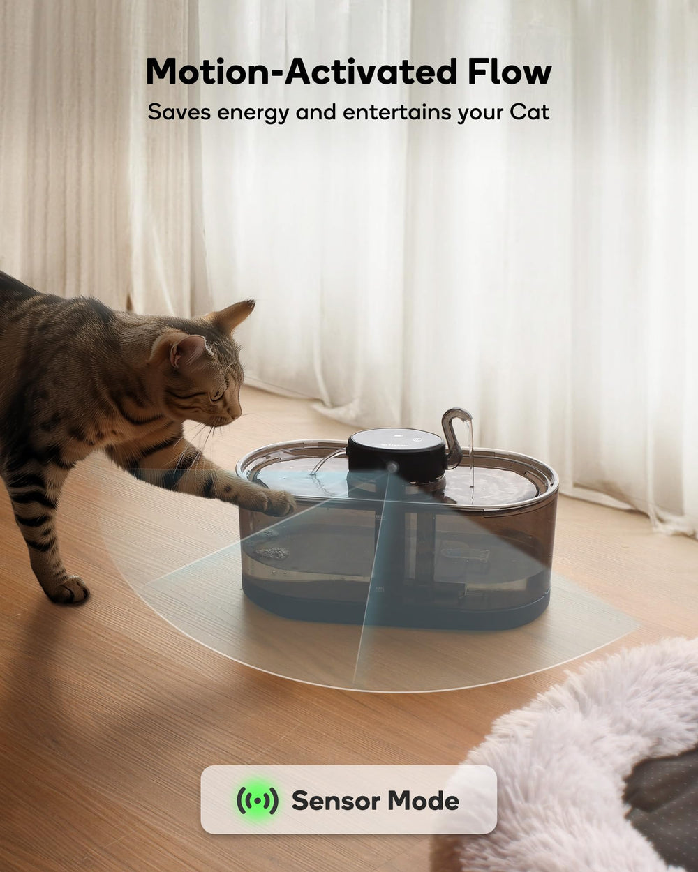 CENGCEN cat fountain splash ring demonstrates bubbles to attract cats