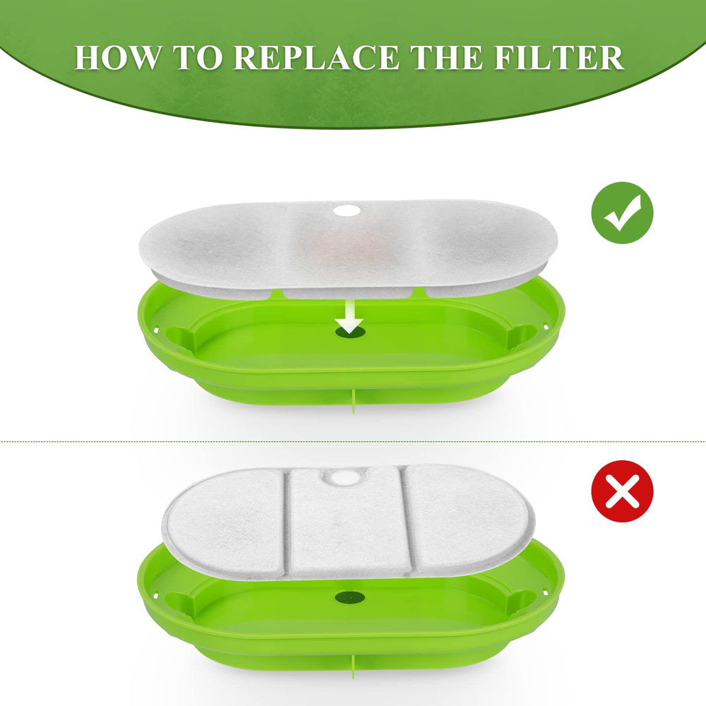 Cepheus cat hydration with filtered fountain supports steady water intake.