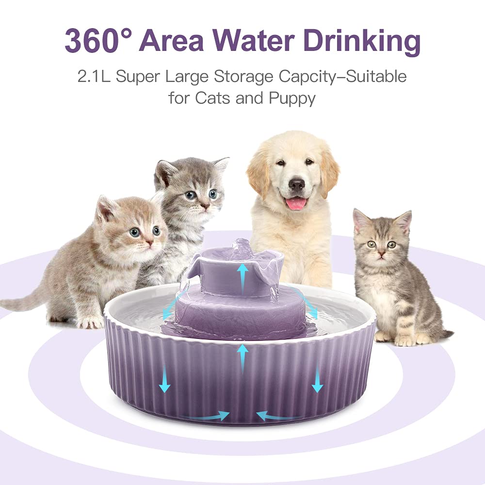 Cepheus cat fountain 70 oz capacity shown with easy disassembly for cleaning