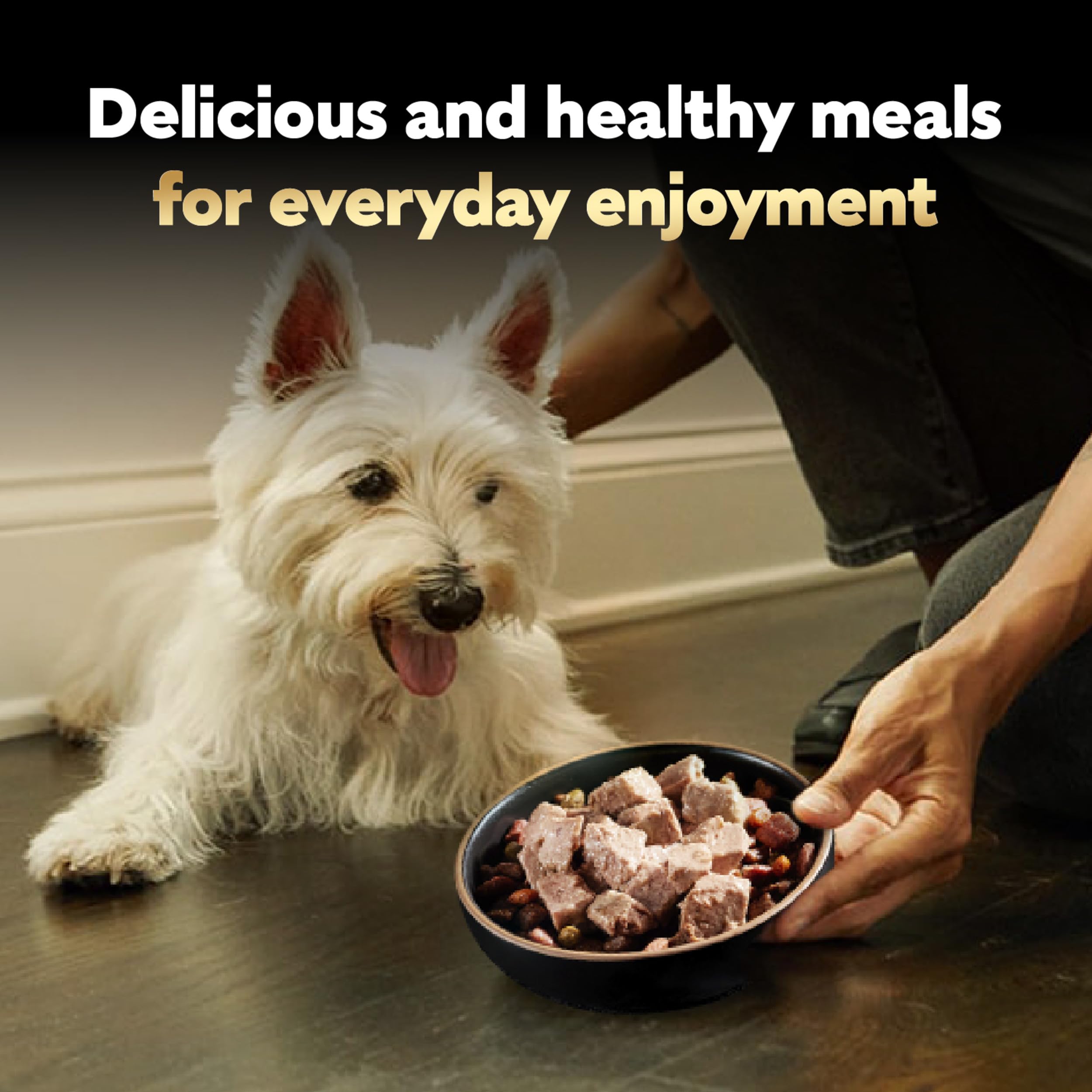 Cesar dog meal topper offers flavor boost when mixed with dry kibble.