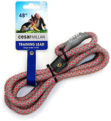 Cesar Millan slip lead leash nylon construction for safe training walks
