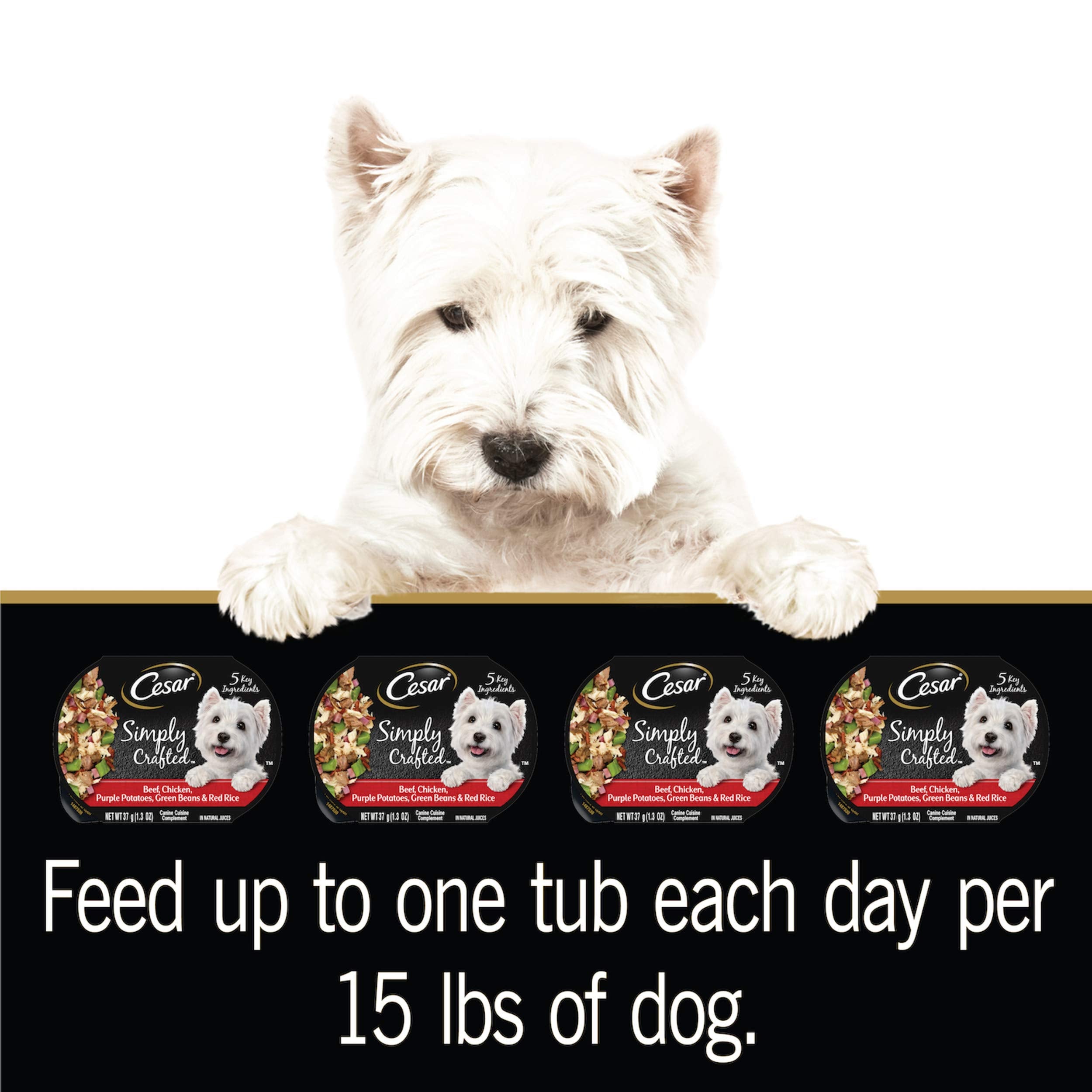 CESAR Simply Crafted topper shown as a healthy snack option for dogs.