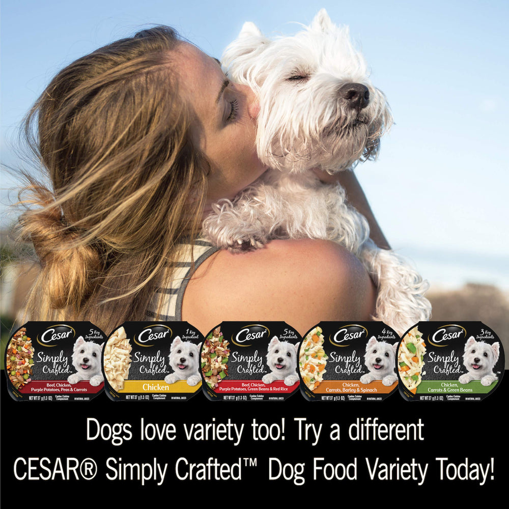 CESAR Simply Crafted 10-tub packaging highlights convenient feeding.