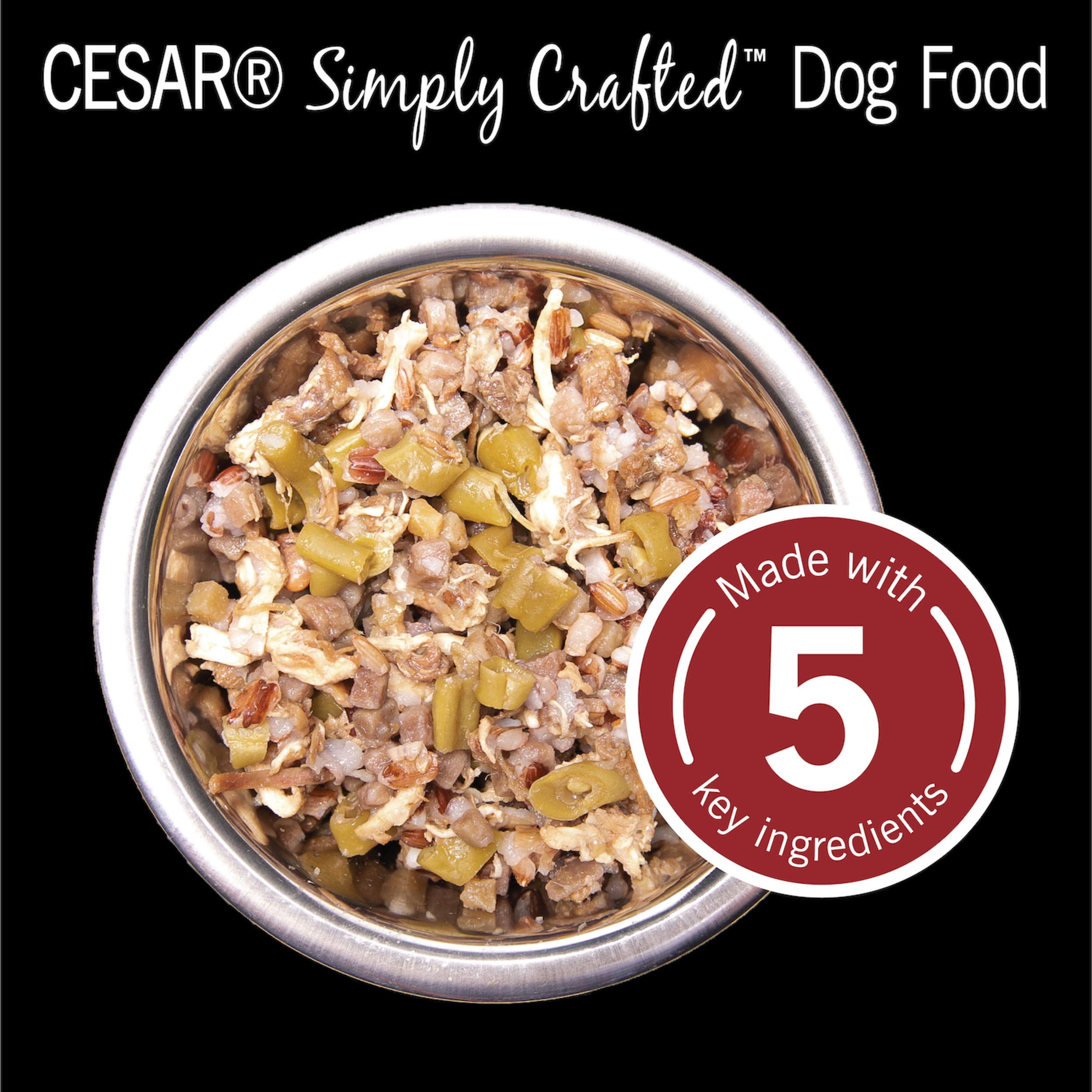 CESAR Simply Crafted topper over kibble for enhanced flavor.