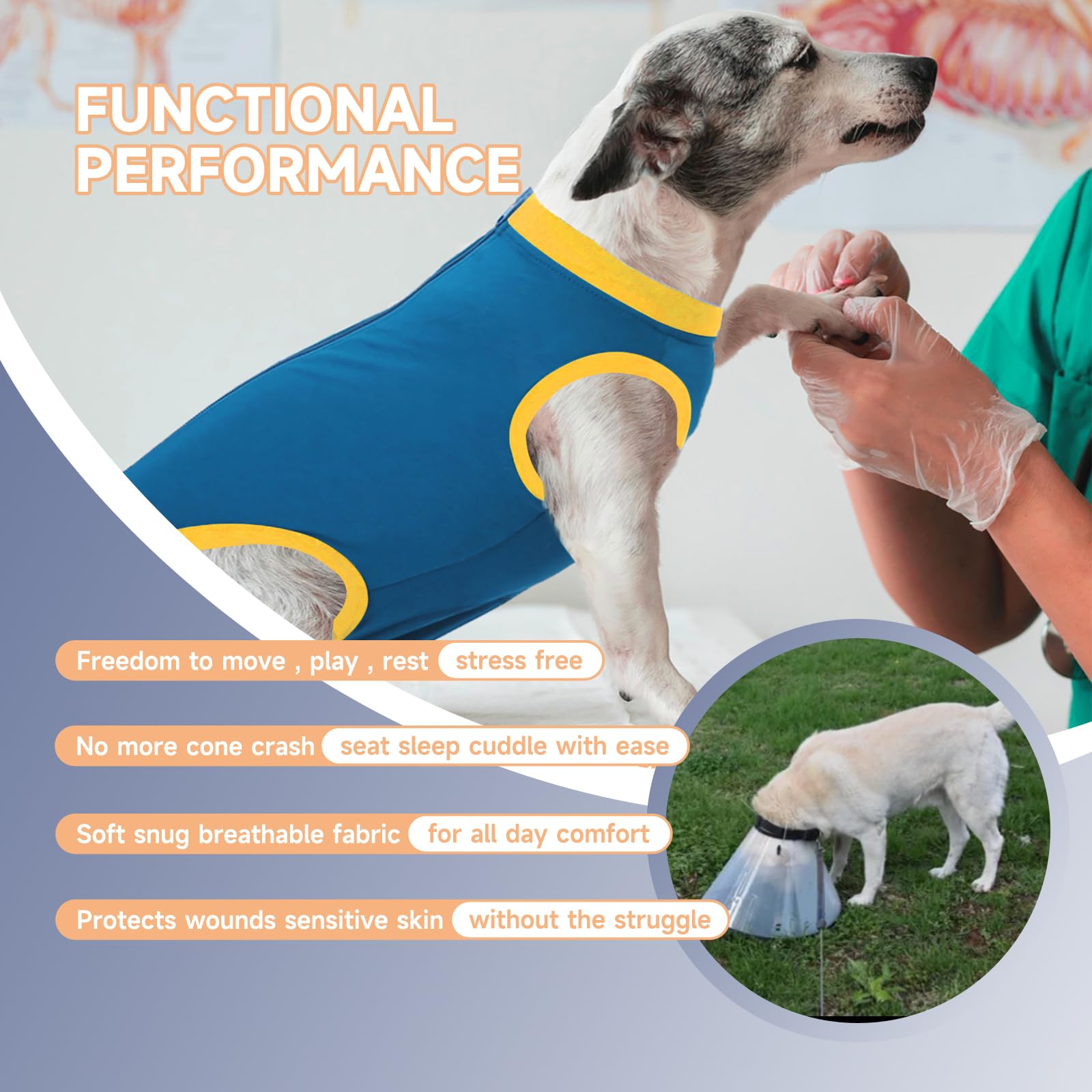 Ceseonce dog-onesie provides full-body coverage to reduce irritation during recovery.