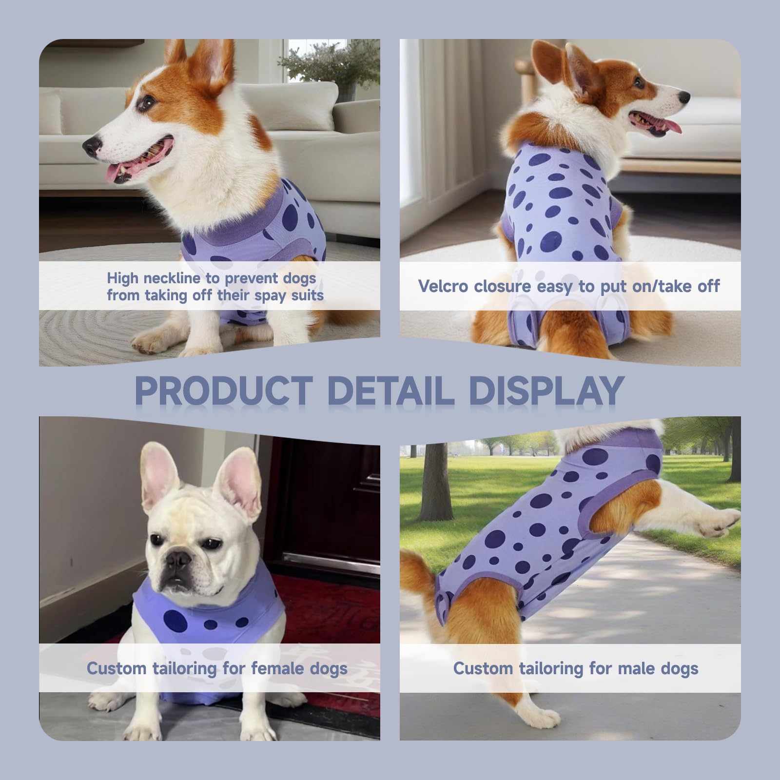 Ceseonce adjustable Velcro closures image communicates secure fit across breeds from small to XL