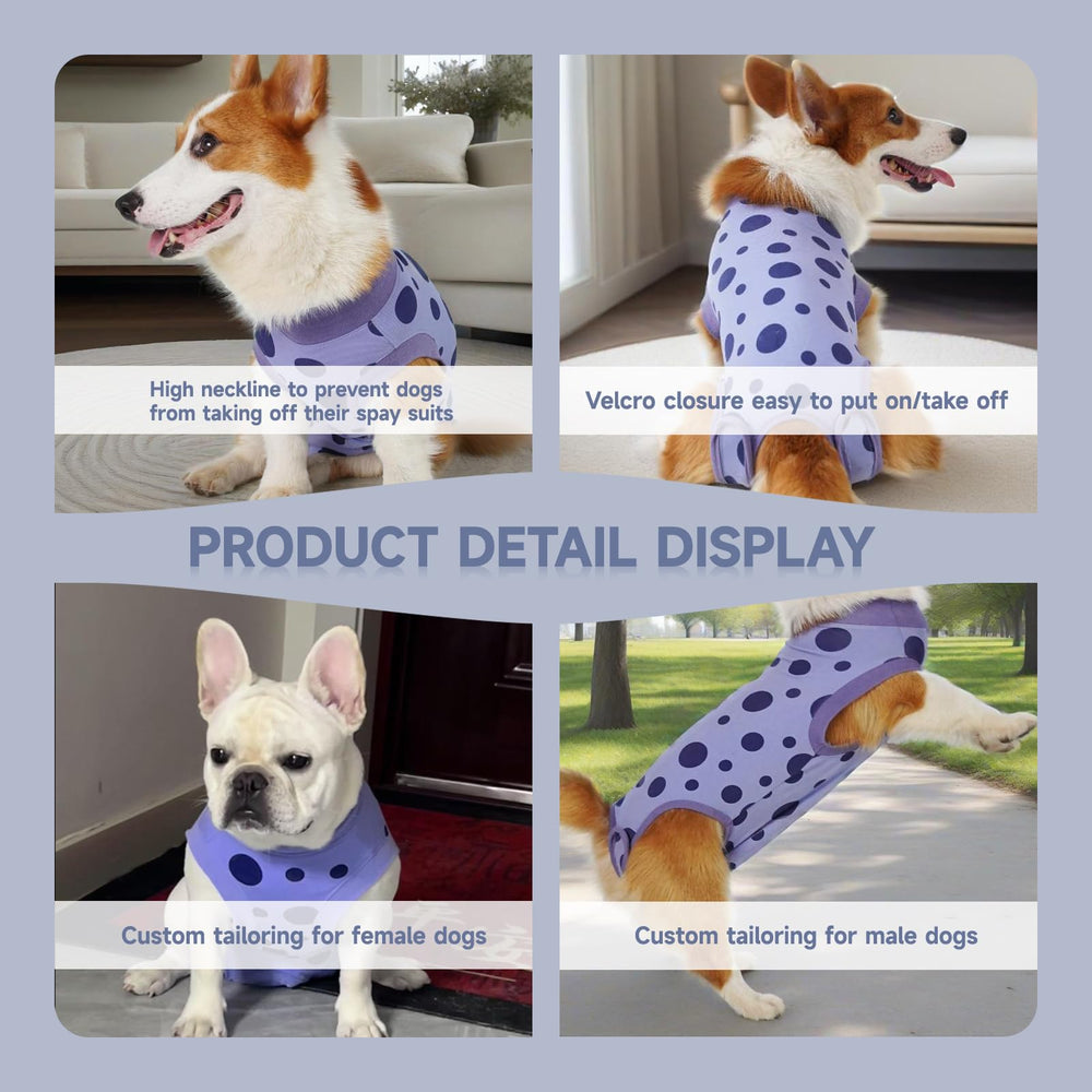 Ceseonce adjustable Velcro closures image communicates secure fit across breeds from small to XL