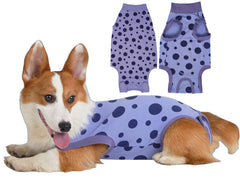 Ceseonce dog surgery recovery suit hero provides full-coverage protection for post-op healing