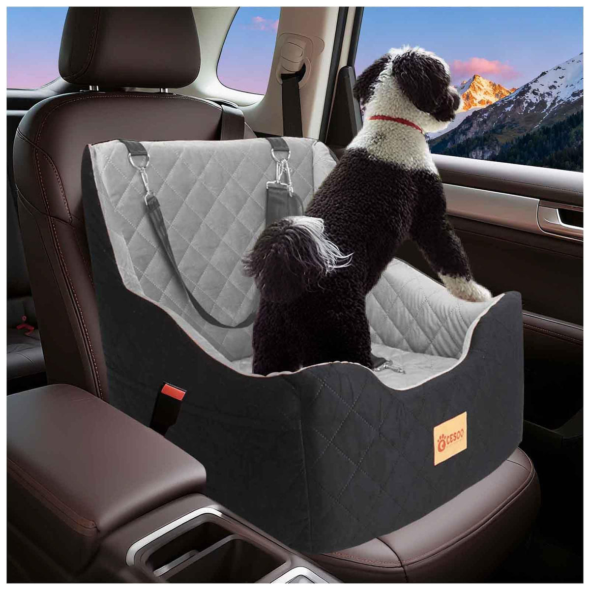 CESOO dog car seat front view shows sturdy frame for secure travels.