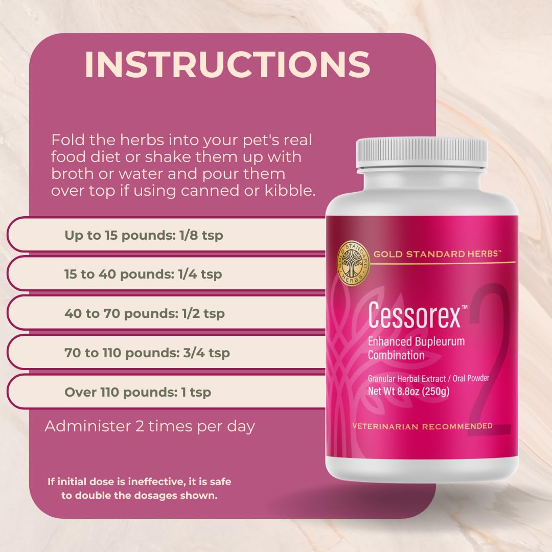Cessorex dog ear health image suggests balanced skin and ear canal comfort