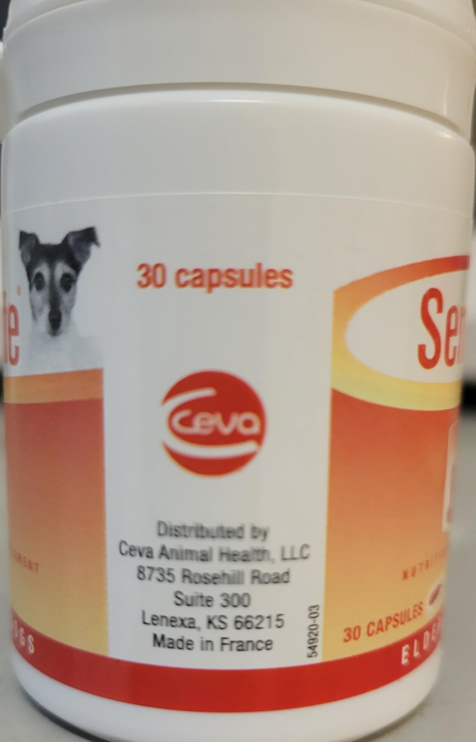 Ceva Senilife dog life enrichment potential through brain aging support.