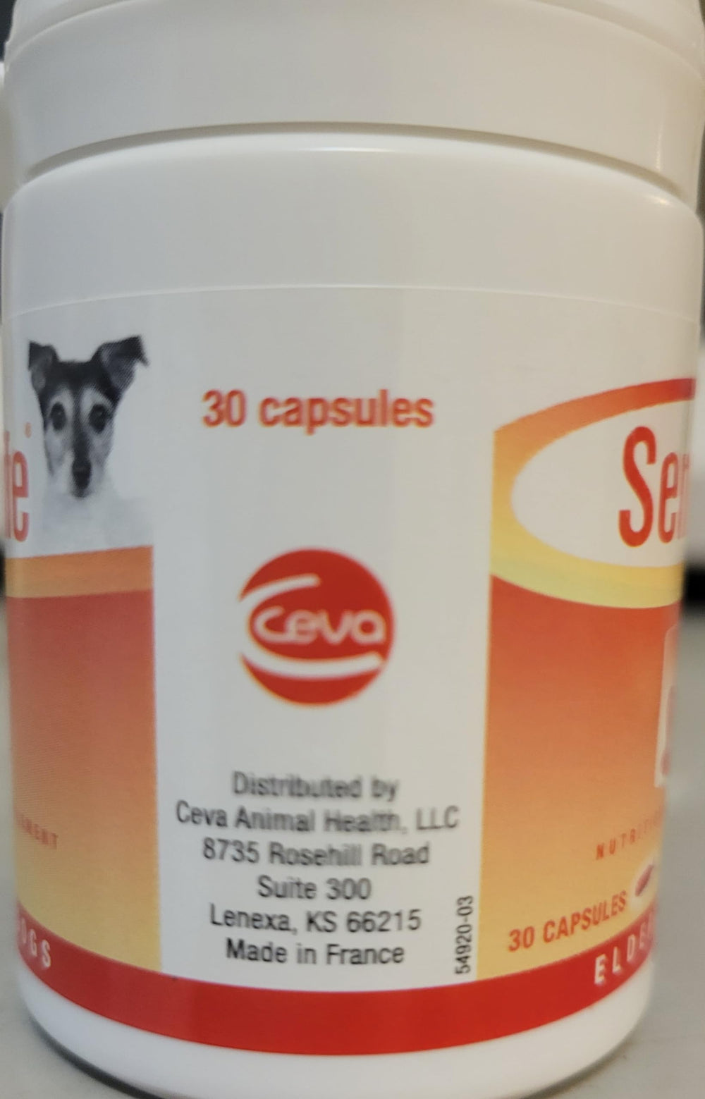 Ceva Senilife dog life enrichment potential through brain aging support.