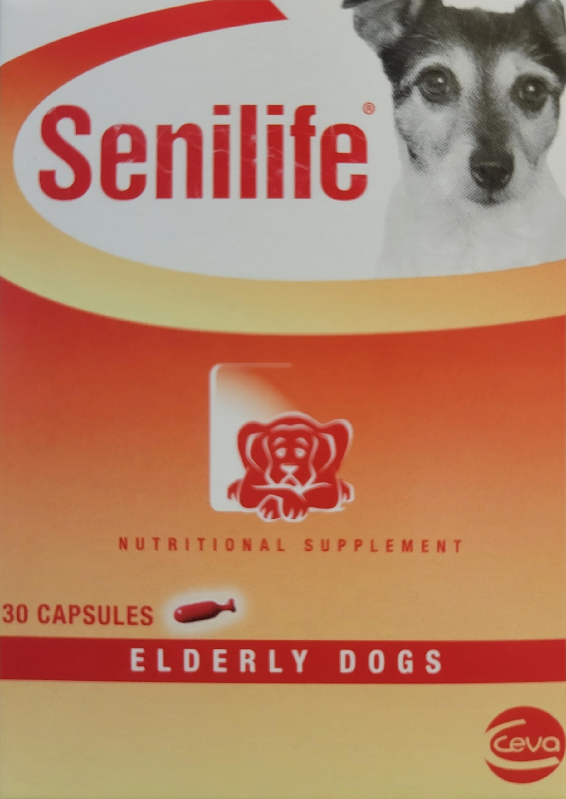 Ceva Senilife elderly dog with a calm expression suggests mood support.