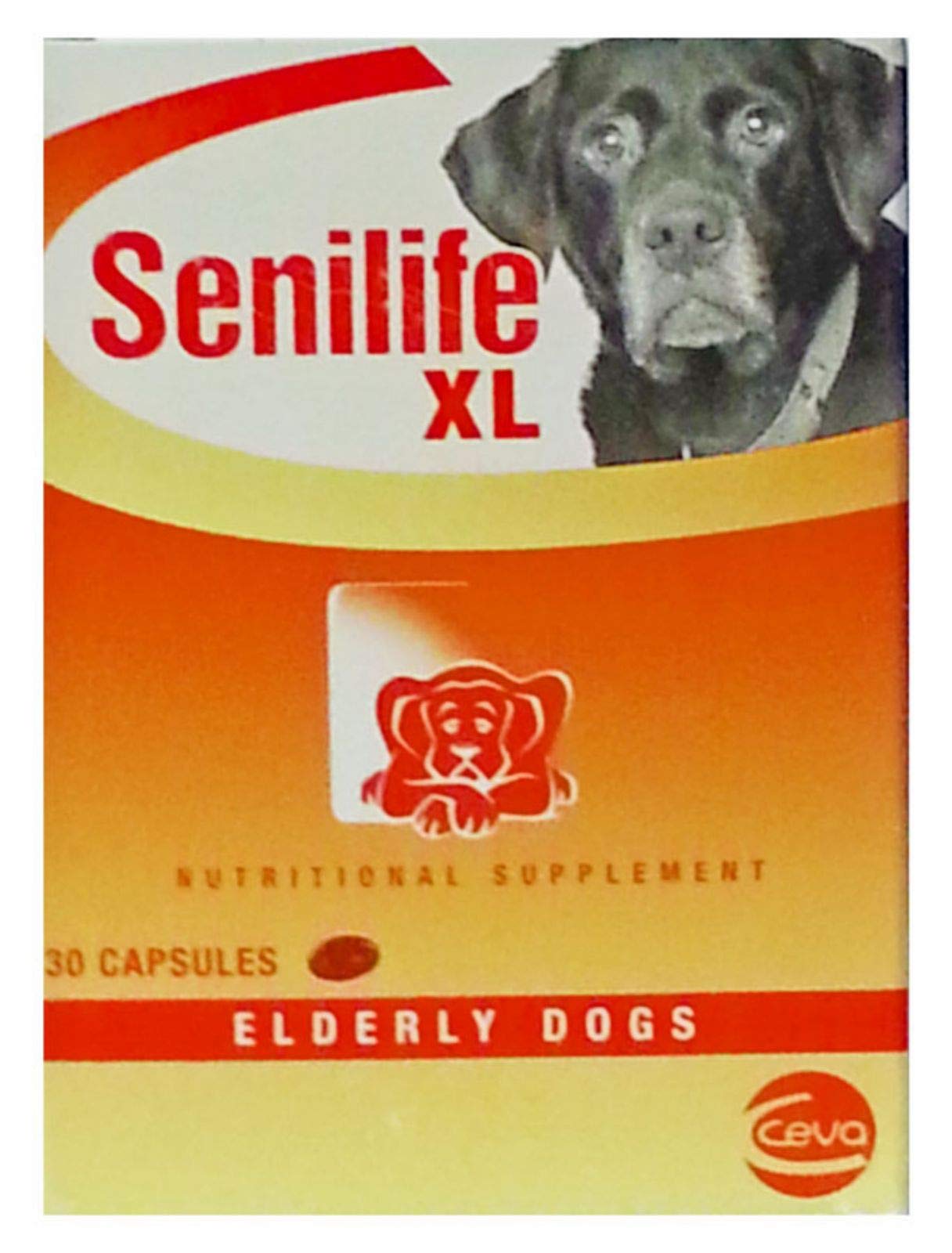 Ceva Senilife XL capsules bottle on a shelf for canine brain aging support.