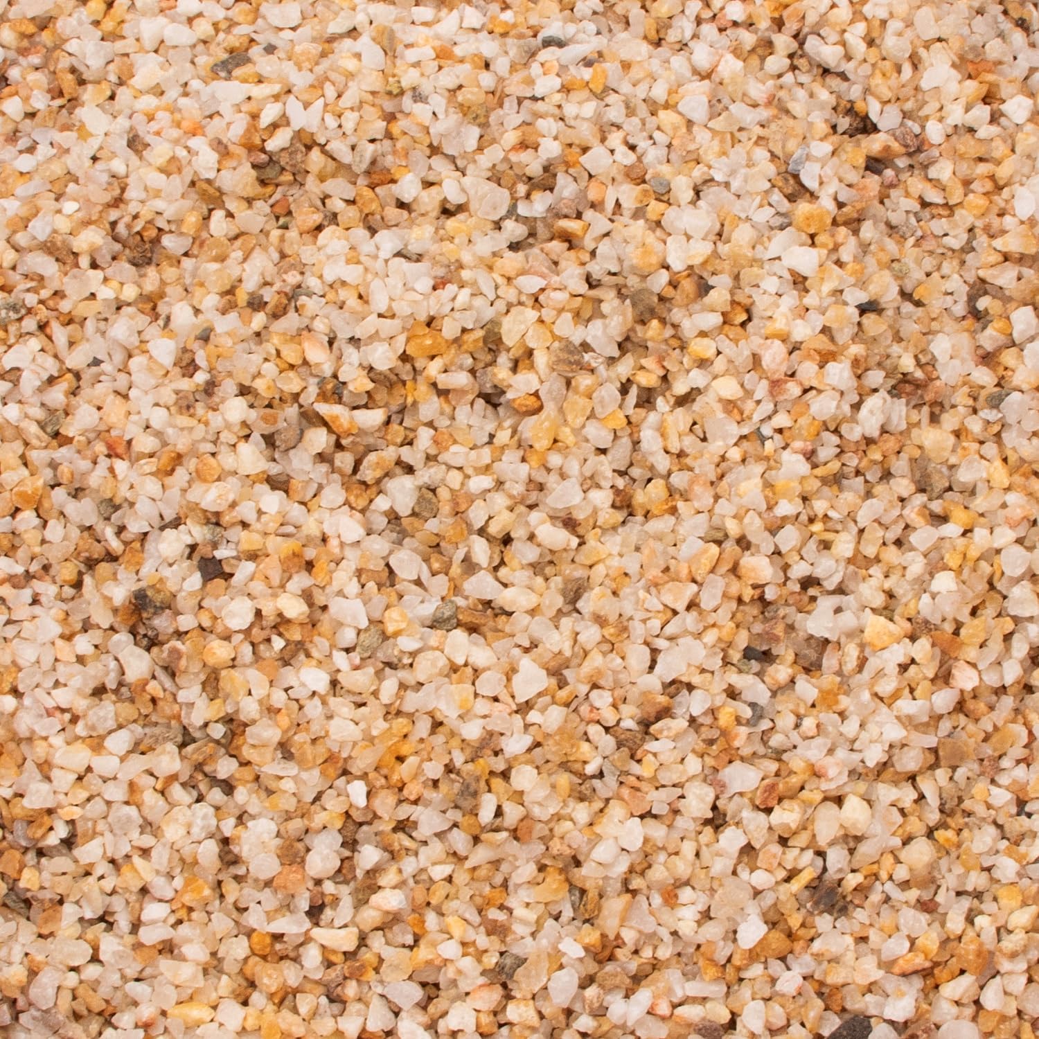 CFKJ sand with succulent rocks forms mini desert arrangements