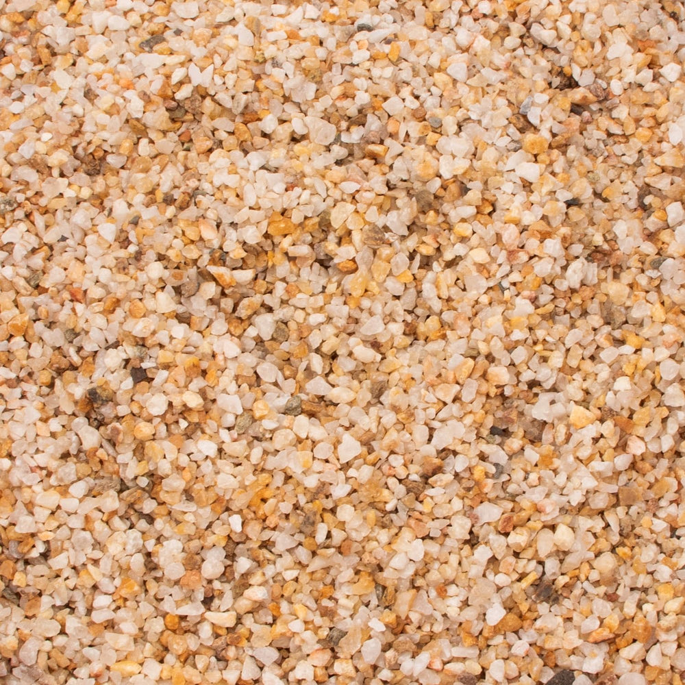 CFKJ sand with succulent rocks forms mini desert arrangements