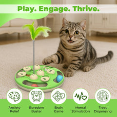 CGBD cat puzzle with feather teaser keeps cats engaged during solo playtime.