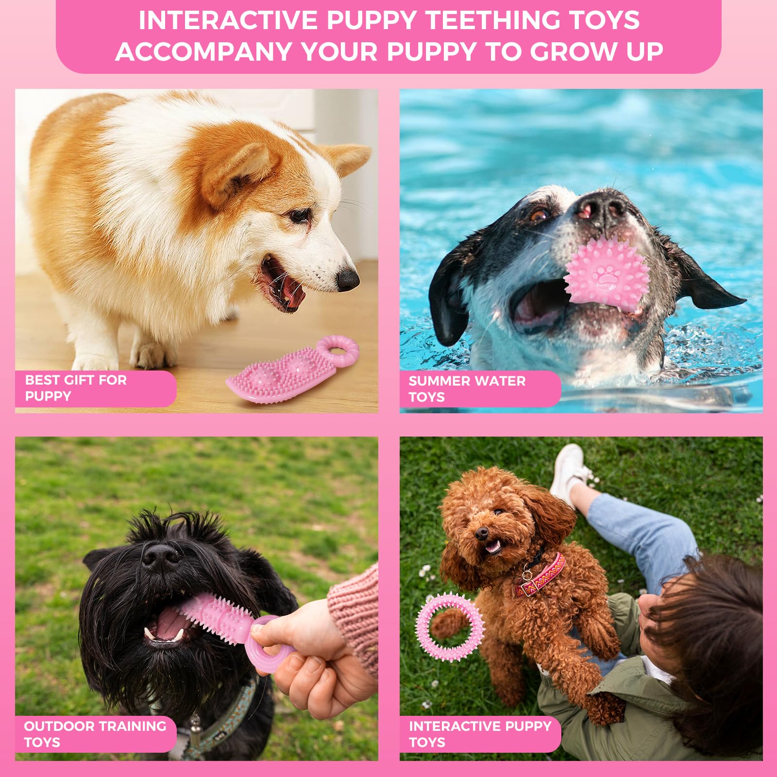 CGBD puppy chew toys supervision reminder for safe play