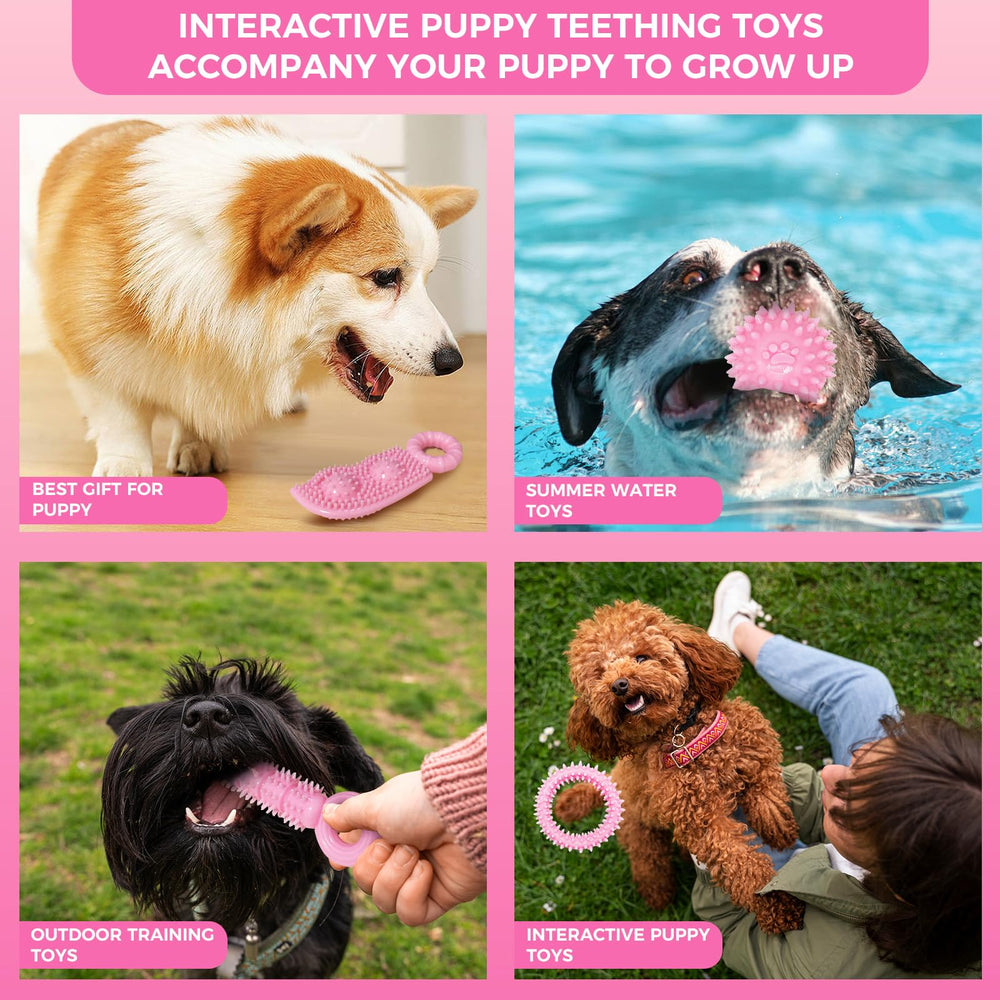 CGBD puppy chew toys supervision reminder for safe play