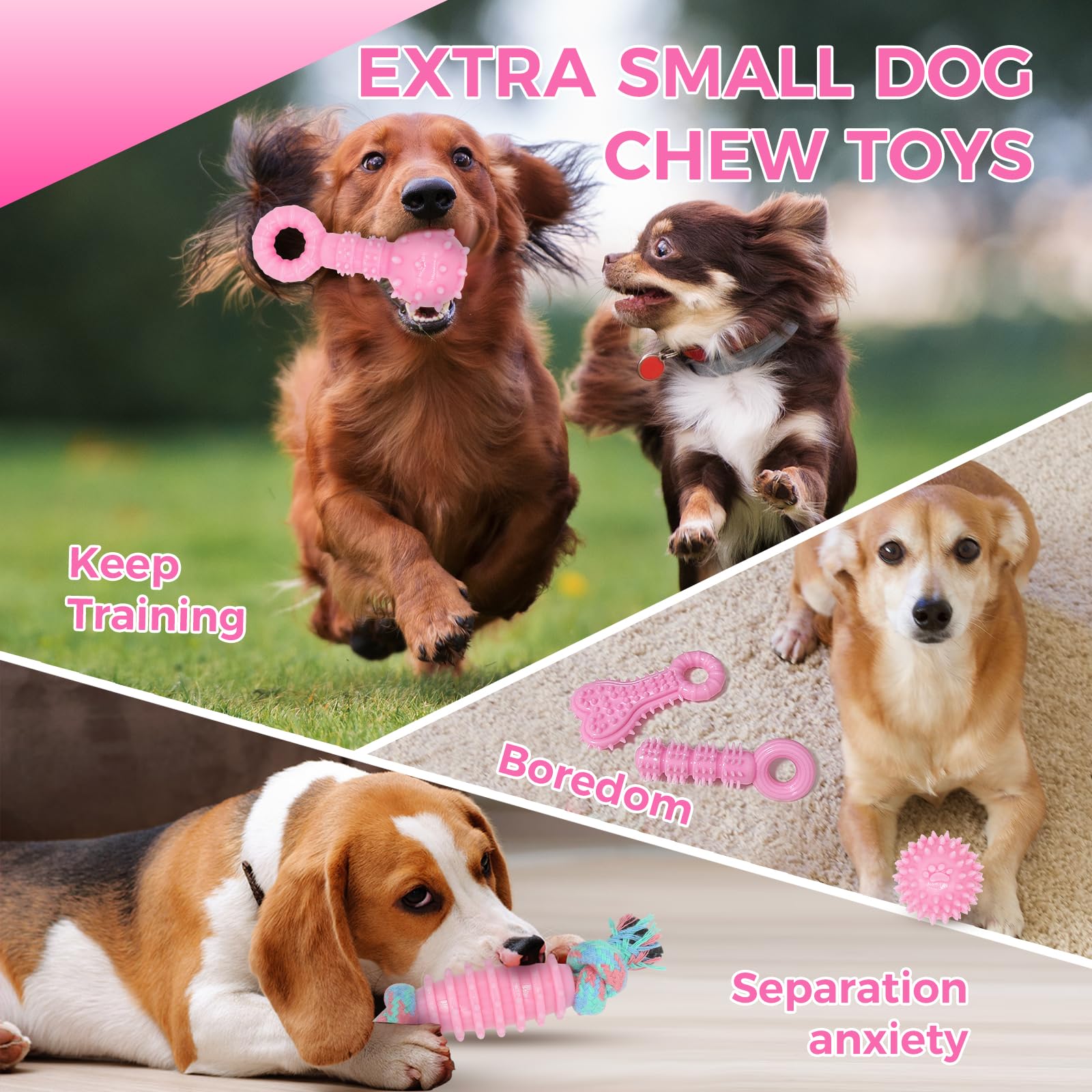 CGBD puppy teething toys gift idea for small dogs