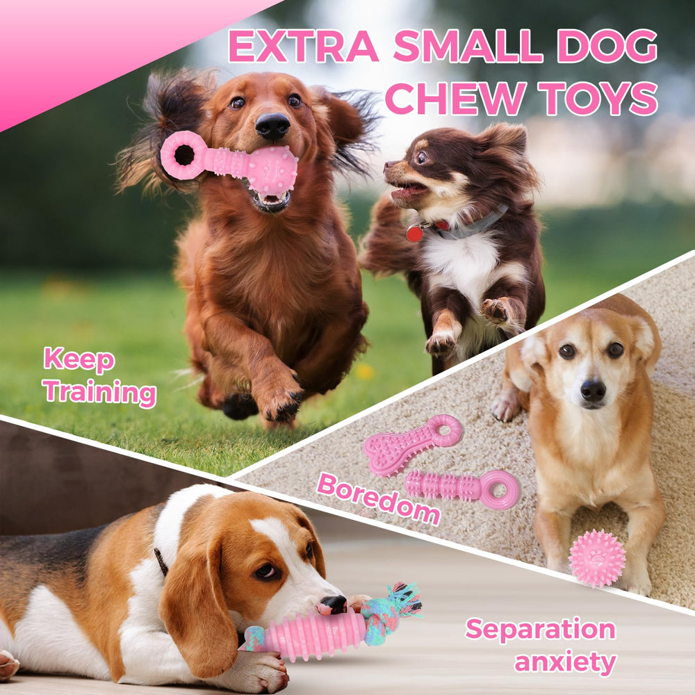 CGBD puppy teething toys gift idea for small dogs