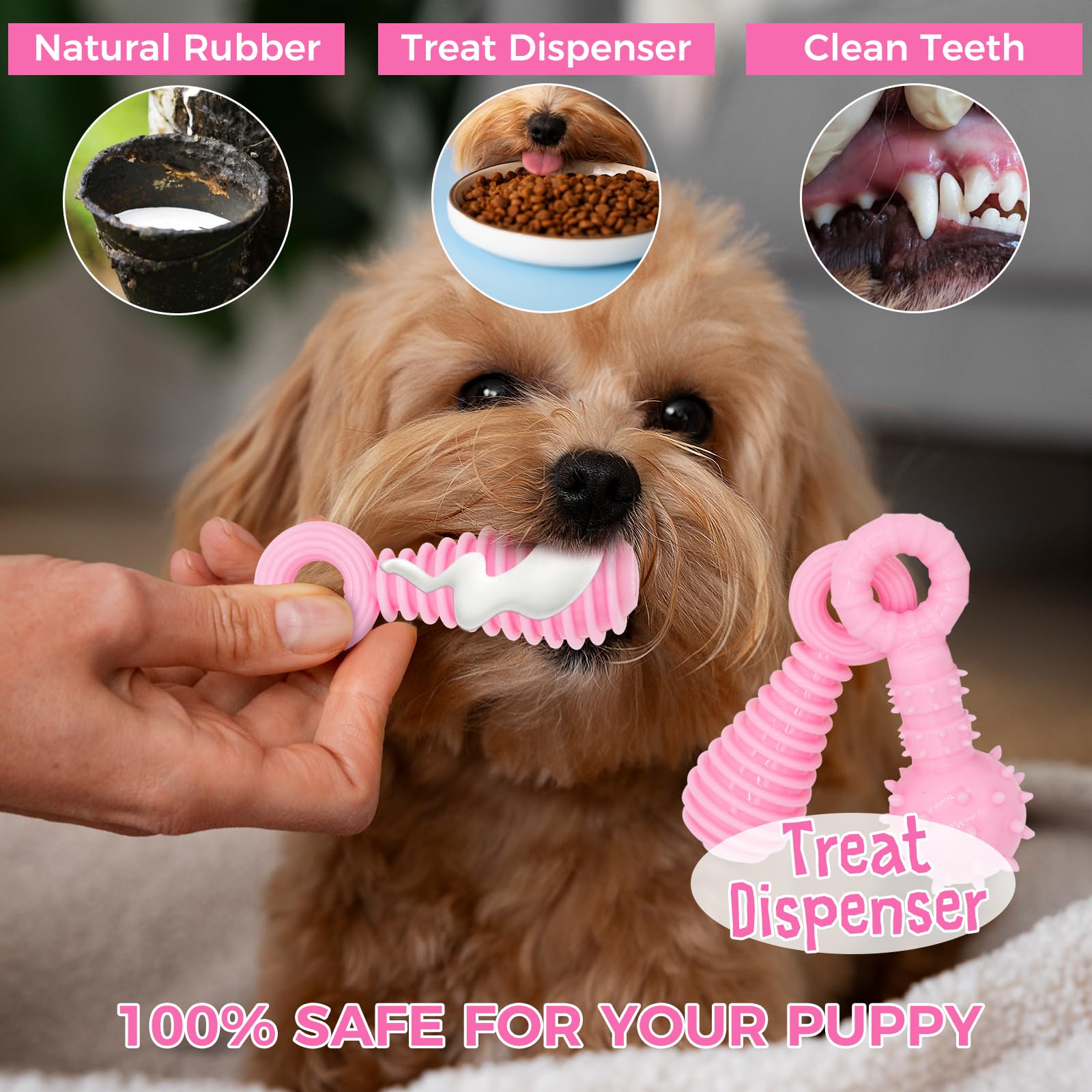 CGBD puppy toys non-toxic natural rubber material for safe chewing