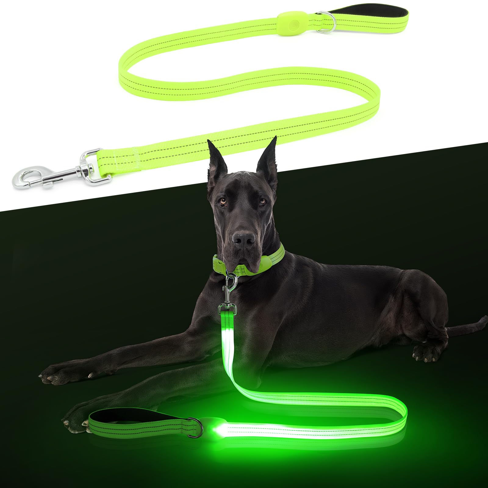 ChalkLit correa iluminada para perros, mango acolchado nocturno para paseos cómodos.