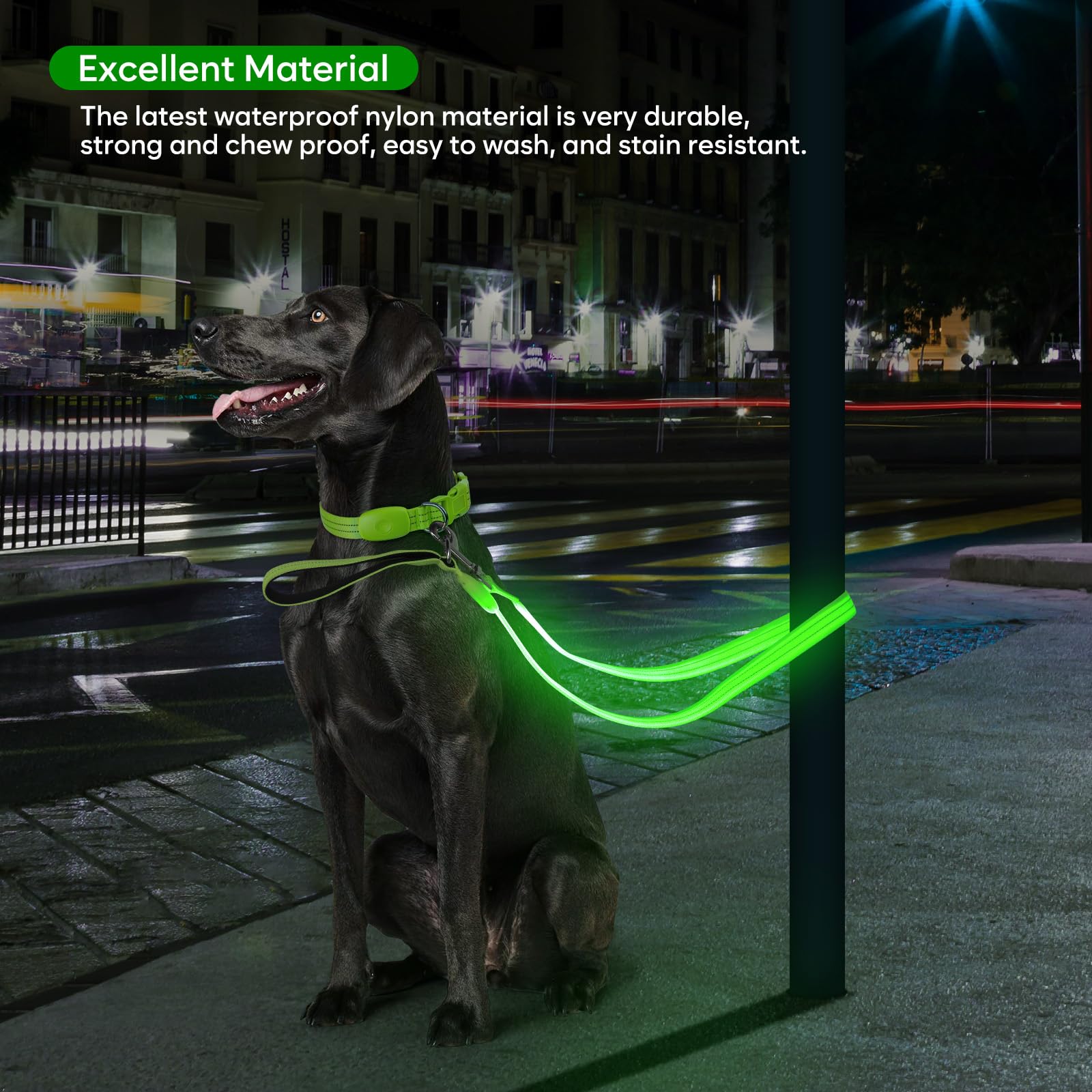 Alta visibilidad para paseos nocturnos seguros con ChalkLit correa iluminada.