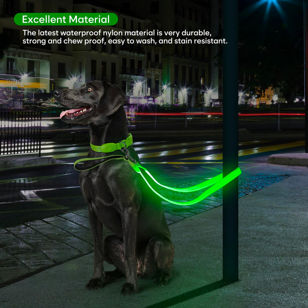 Alta visibilidad para paseos nocturnos seguros con ChalkLit correa iluminada.