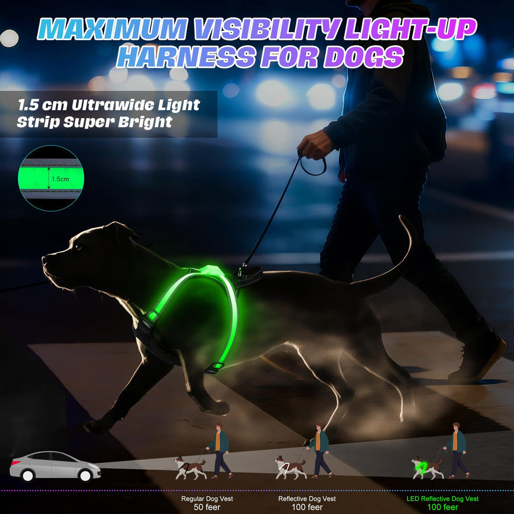 ChalkLit 360-degree illumination with wide light strip improves dog visibility from all angles.