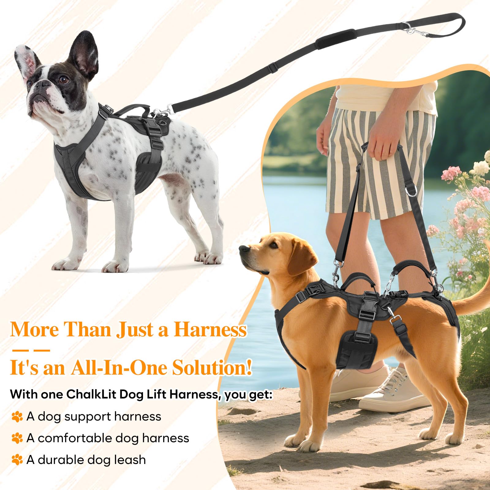 ChalkLit Dog Lift Harness adjustable-handles demonstrate customizable lift height